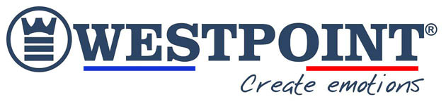 Climatiseur modèle 2